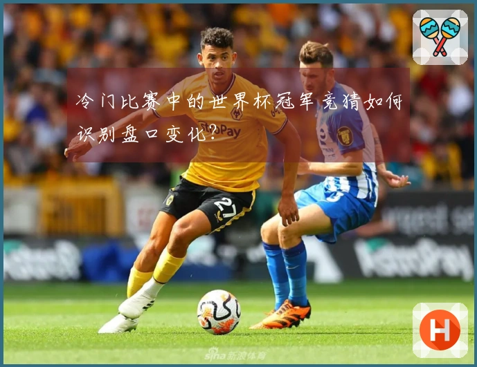 冷门比赛中的世界杯冠军竞猜如何识别盘口变化？